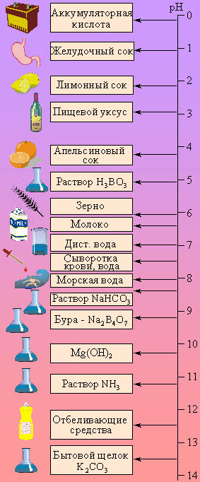 height=682 src=