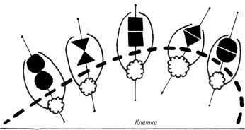 : http://inkat.ru/images/books/2224/referat/78149-1.jpg