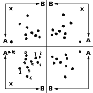    -   6x6 (  3x3 )